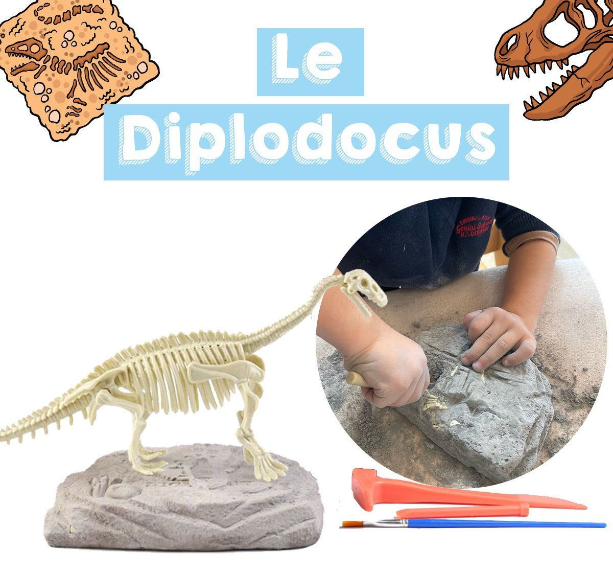 Coffret de L'apprenti Paléontologue