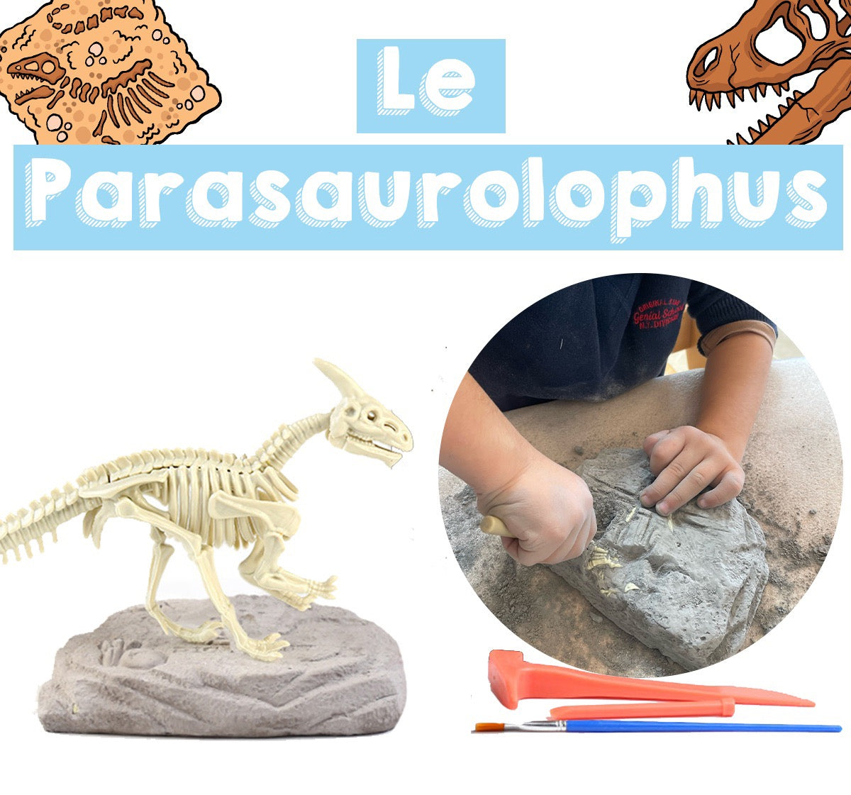 Coffret de L'apprenti Paléontologue