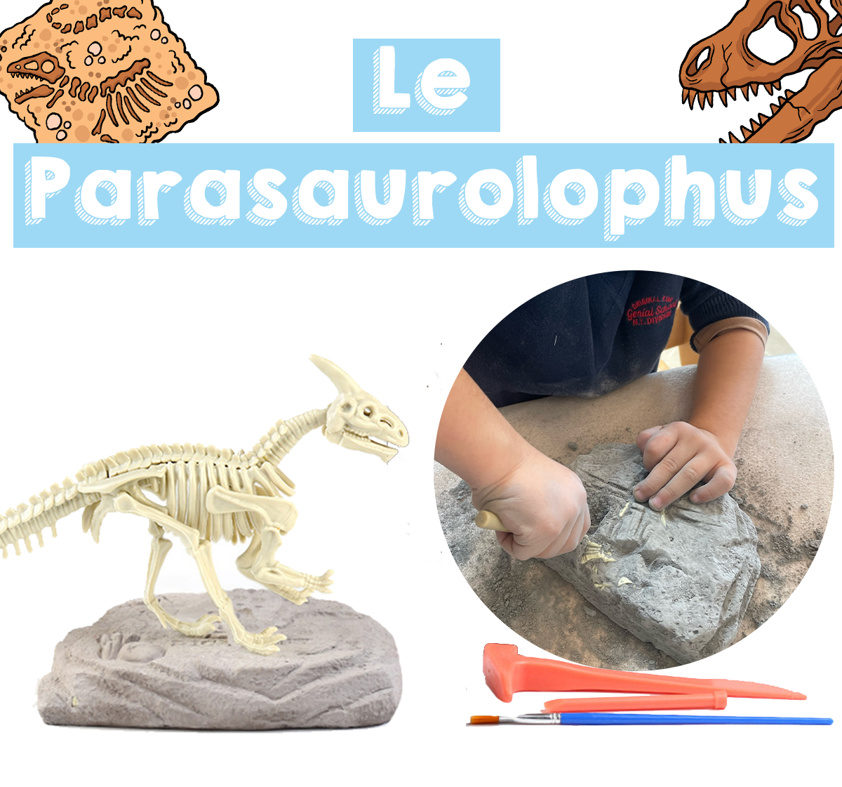 Coffret de L'apprenti Paléontologue