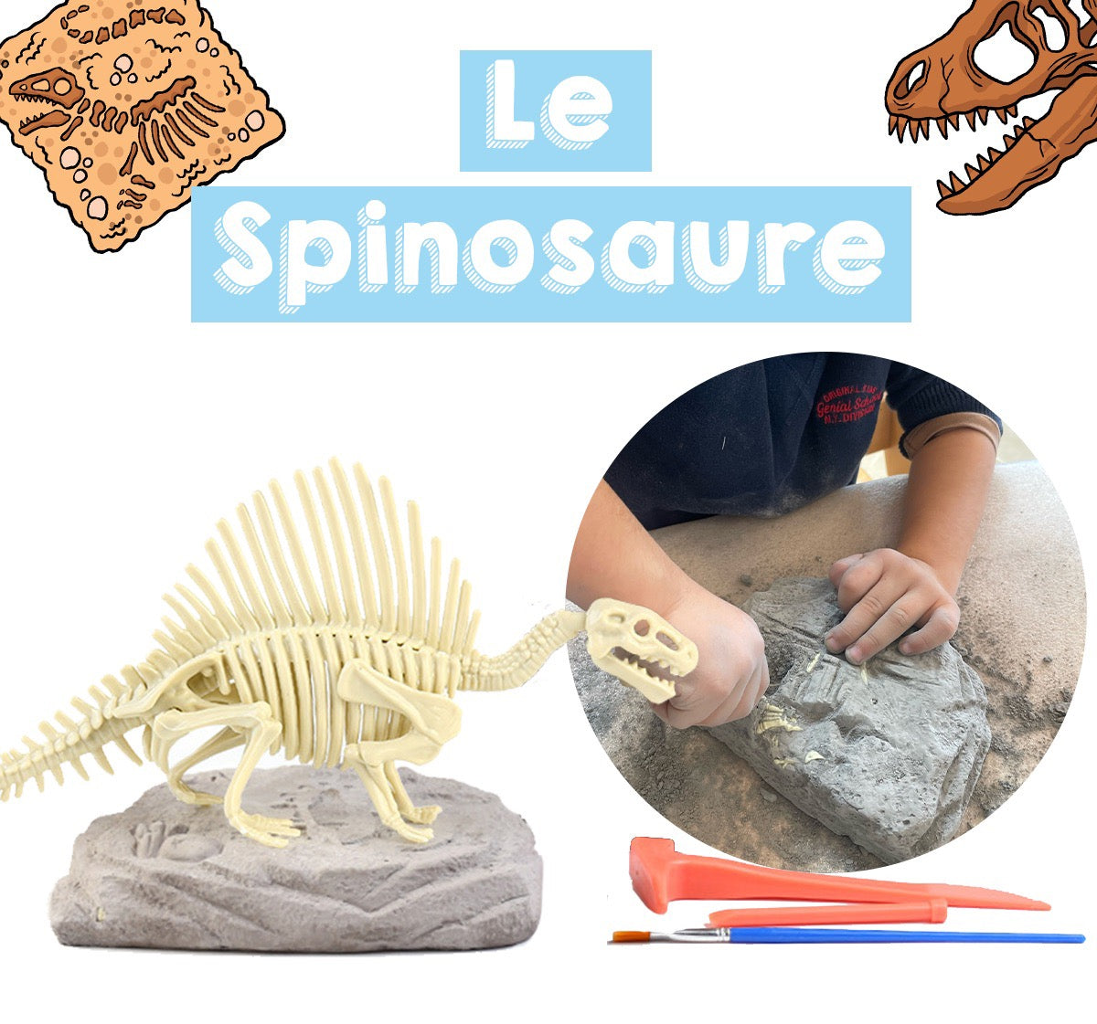 Coffret de L'apprenti Paléontologue