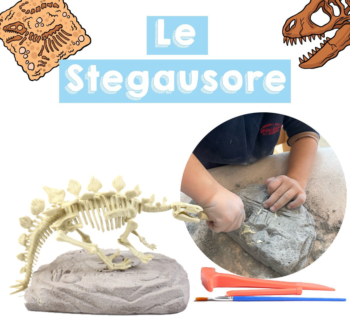 Coffret de L'apprenti Paléontologue