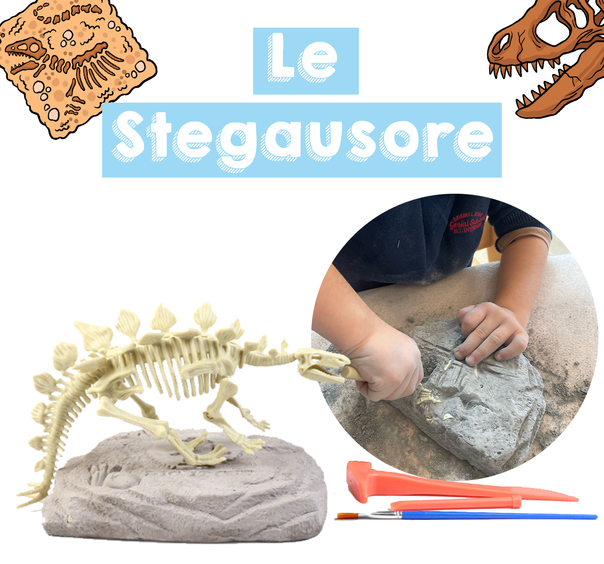 Coffret de L'apprenti Paléontologue