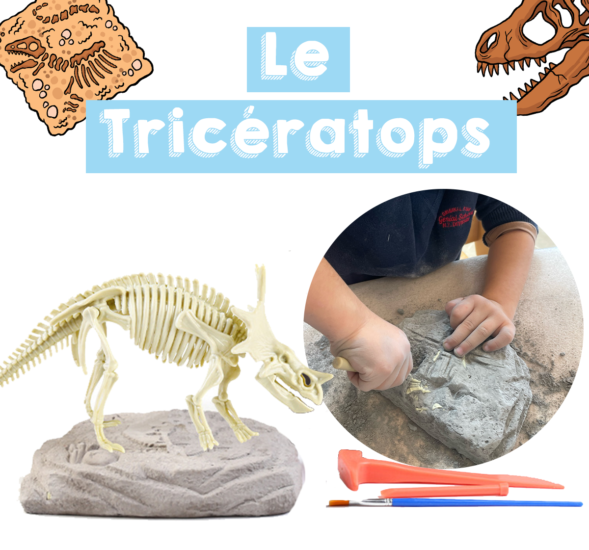 Coffret de L'apprenti Paléontologue