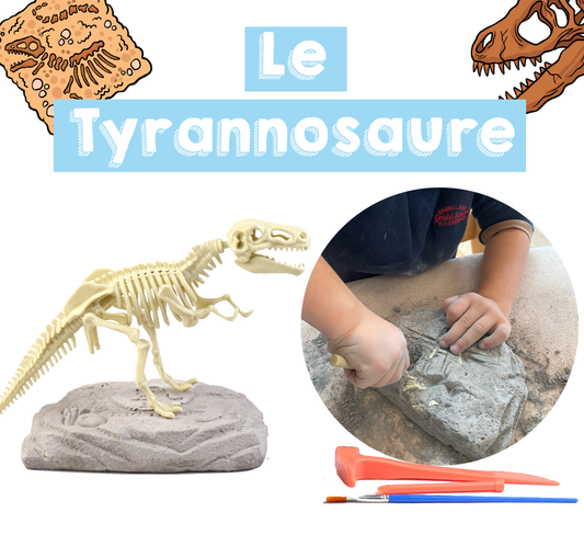 Coffret de L'apprenti Paléontologue